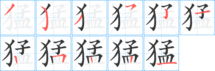 猛字的笔顺笔画分步演示